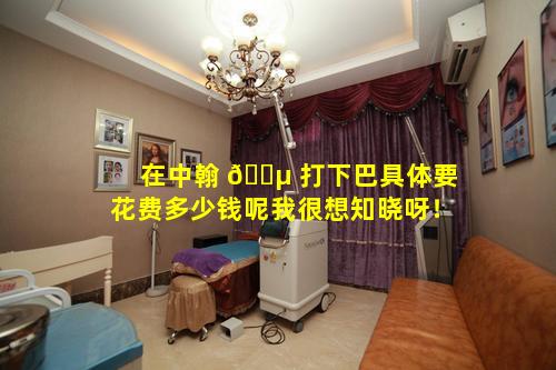 在中翰 🐵 打下巴具体要花费多少钱呢我很想知晓呀！
